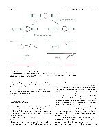 Bhagavan Medical Biochemistry 2001, page 591
